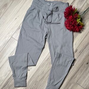 Zyia Gray Ascend Joggers